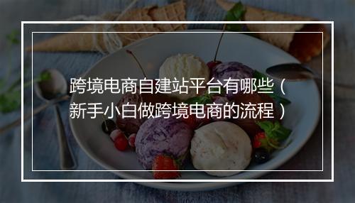 跨境电商自建站平台有哪些（新手小白做跨境电商的流程）