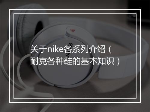关于nike各系列介绍（耐克各种鞋的基本知识）