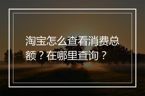 淘宝怎么查看消费总额？在哪里查询？