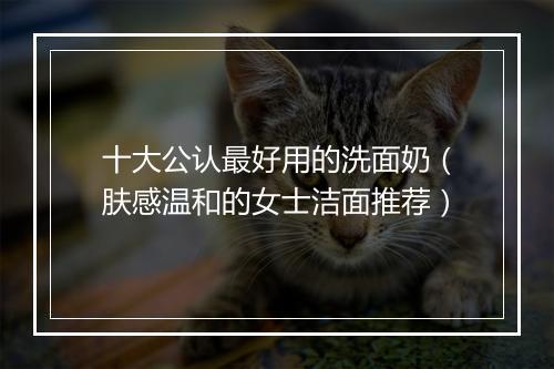 十大公认最好用的洗面奶（肤感温和的女士洁面推荐）