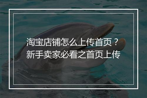 淘宝店铺怎么上传首页？新手卖家必看之首页上传
