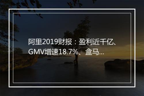 阿里2019财报：盈利近千亿、GMV增速18.7%、盒马等新业务亏损254亿！