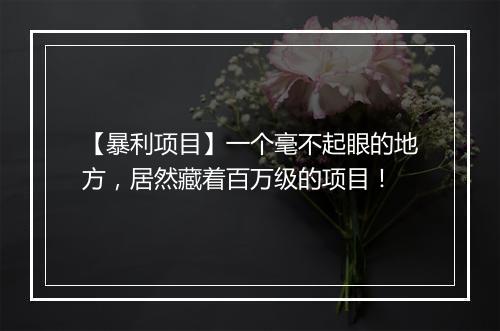 【暴利项目】一个毫不起眼的地方，居然藏着百万级的项目！