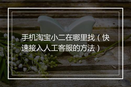 手机淘宝小二在哪里找（快速接入人工客服的方法）