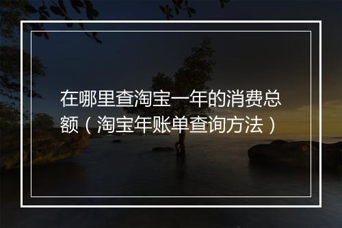 在哪里查淘宝一年的消费总额（淘宝年账单查询方法）