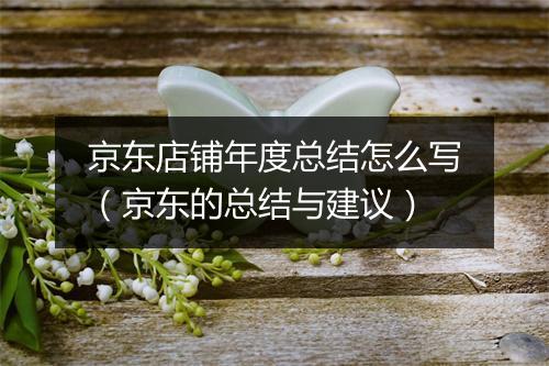 京东店铺年度总结怎么写（京东的总结与建议）