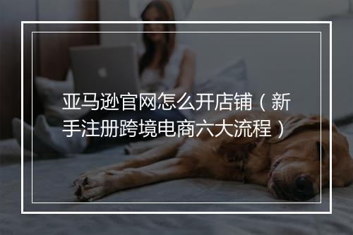亚马逊官网怎么开店铺（新手注册跨境电商六大流程）