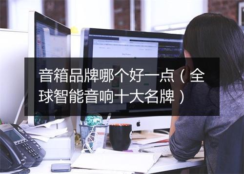 音箱品牌哪个好一点（全球智能音响十大名牌）