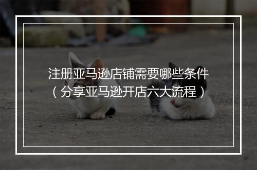 注册亚马逊店铺需要哪些条件（分享亚马逊开店六大流程）