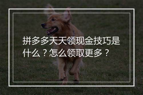 拼多多天天领现金技巧是什么？怎么领取更多？