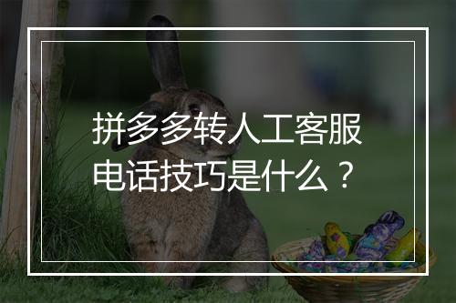 拼多多转人工客服电话技巧是什么？