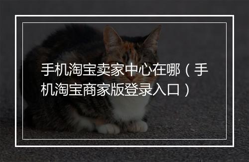 手机淘宝卖家中心在哪（手机淘宝商家版登录入口）