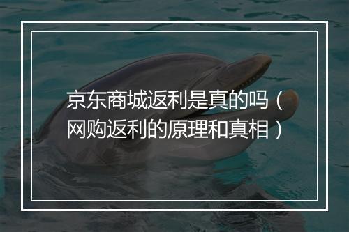 京东商城返利是真的吗（网购返利的原理和真相）