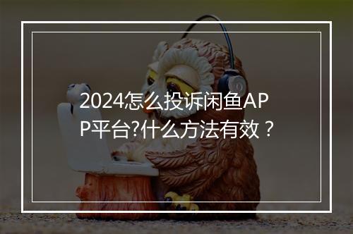 2024怎么投诉闲鱼APP平台?什么方法有效？