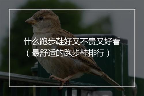 什么跑步鞋好又不贵又好看（最舒适的跑步鞋排行）