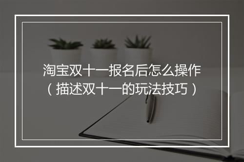 淘宝双十一报名后怎么操作（描述双十一的玩法技巧）