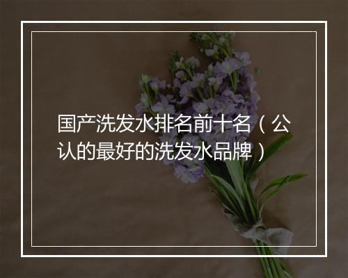 国产洗发水排名前十名（公认的最好的洗发水品牌）