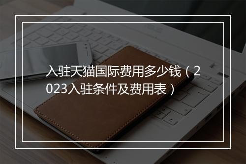 入驻天猫国际费用多少钱（2023入驻条件及费用表）
