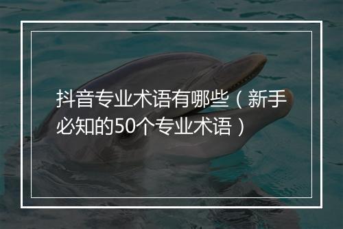 抖音专业术语有哪些（新手必知的50个专业术语）