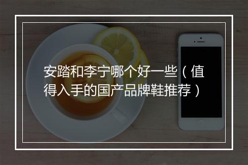 安踏和李宁哪个好一些（值得入手的国产品牌鞋推荐）