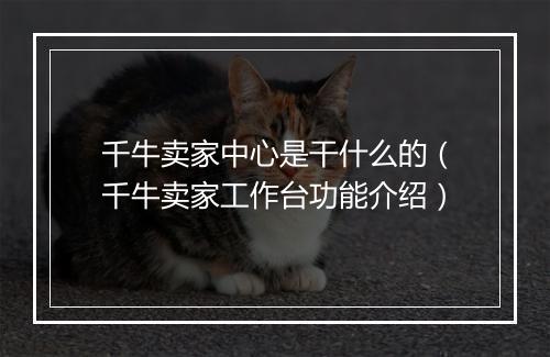 千牛卖家中心是干什么的（千牛卖家工作台功能介绍）