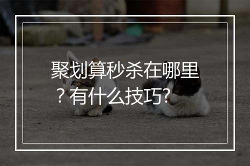 聚划算秒杀在哪里？有什么技巧?