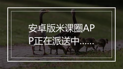 安卓版米课圈APP正在派送中……
