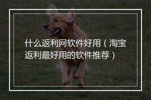 什么返利网软件好用（淘宝返利最好用的软件推荐）