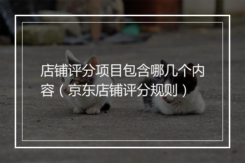 店铺评分项目包含哪几个内容（京东店铺评分规则）