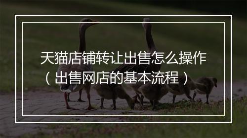 天猫店铺转让出售怎么操作（出售网店的基本流程）