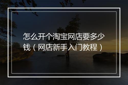怎么开个淘宝网店要多少钱（网店新手入门教程）