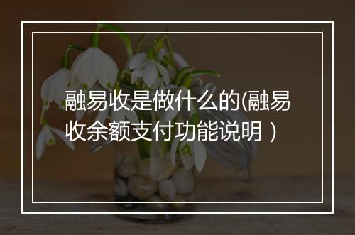 融易收是做什么的(融易收余额支付功能说明）