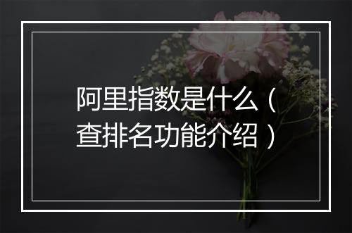 阿里指数是什么（查排名功能介绍）