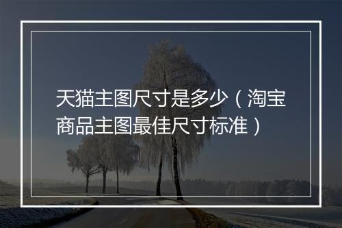 天猫主图尺寸是多少（淘宝商品主图最佳尺寸标准）