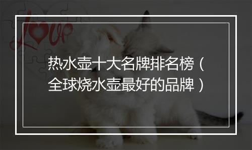 热水壶十大名牌排名榜（全球烧水壶最好的品牌）