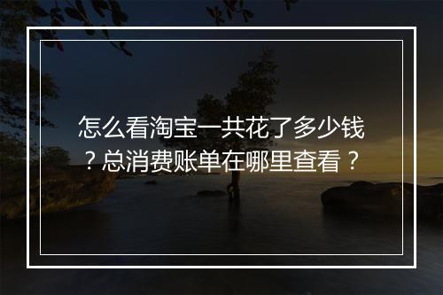 怎么看淘宝一共花了多少钱？总消费账单在哪里查看？