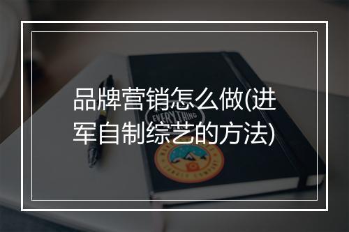 品牌营销怎么做(进军自制综艺的方法)