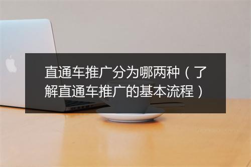 直通车推广分为哪两种（了解直通车推广的基本流程）