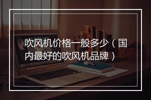 吹风机价格一般多少（国内最好的吹风机品牌）