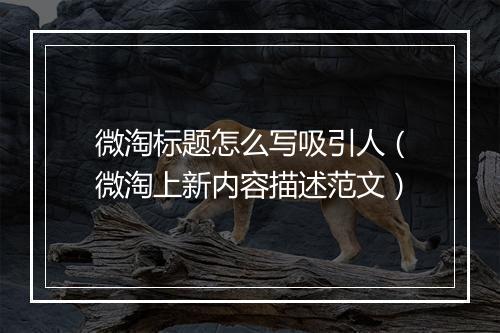 微淘标题怎么写吸引人（微淘上新内容描述范文）