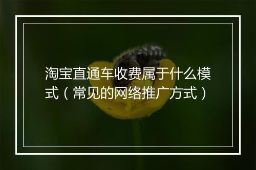 淘宝直通车收费属于什么模式（常见的网络推广方式）