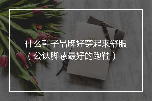 什么鞋子品牌好穿起来舒服（公认脚感最好的跑鞋）