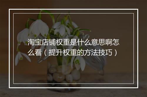 淘宝店铺权重是什么意思啊怎么看（提升权重的方法技巧）