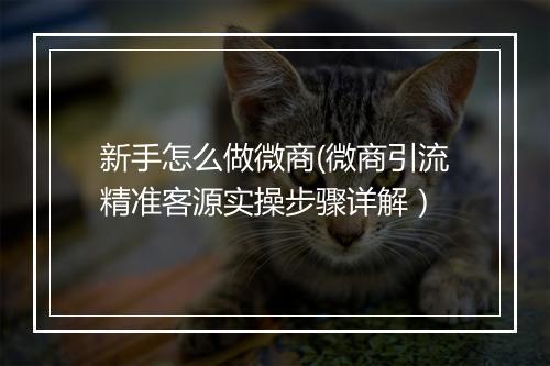 新手怎么做微商(微商引流精准客源实操步骤详解）