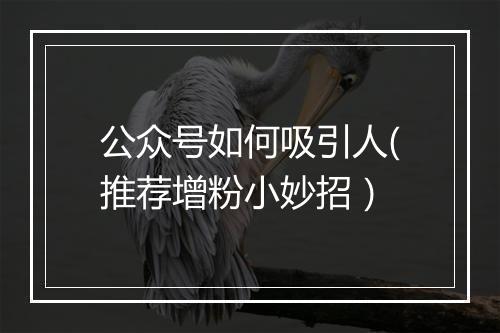 公众号如何吸引人(推荐增粉小妙招）