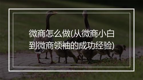 微商怎么做(从微商小白到微商领袖的成功经验)