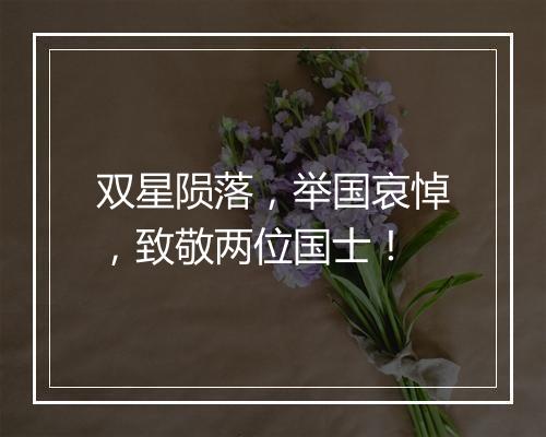 双星陨落，举国哀悼，致敬两位国士！