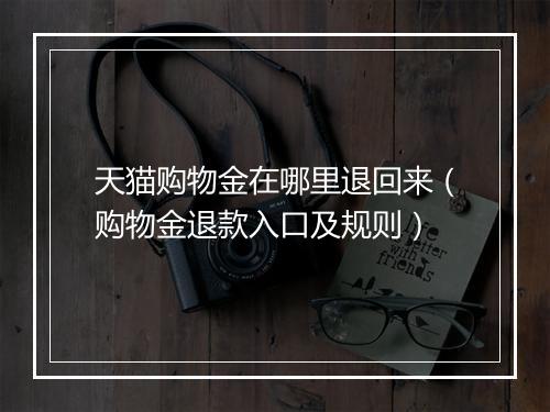 天猫购物金在哪里退回来（购物金退款入口及规则）