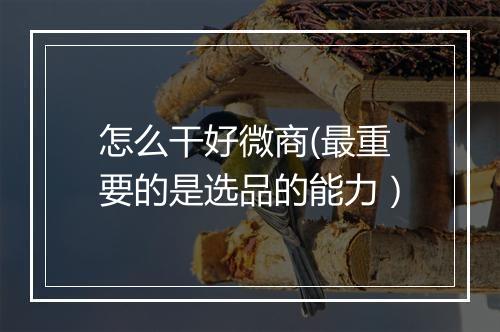 怎么干好微商(最重要的是选品的能力）