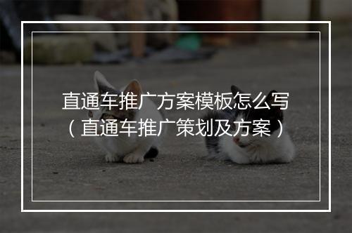 直通车推广方案模板怎么写（直通车推广策划及方案）